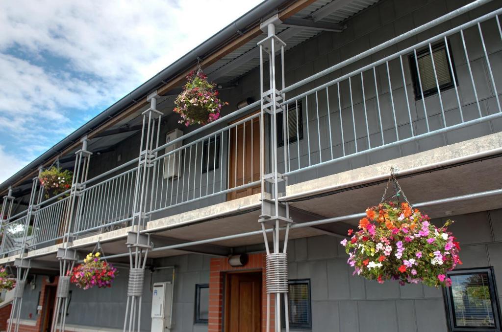 Country Glen alojamiento Christchurch Exterior foto